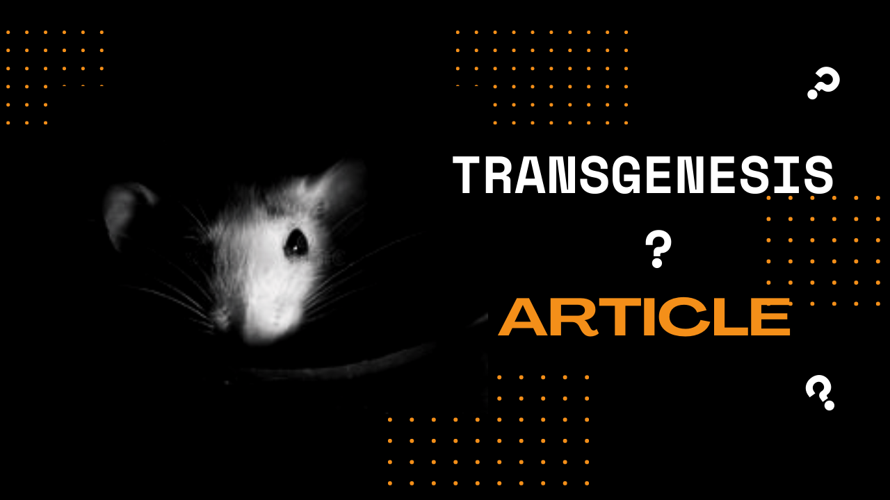 Transgenesis: A Guide to Genetic Modification and Its Potent