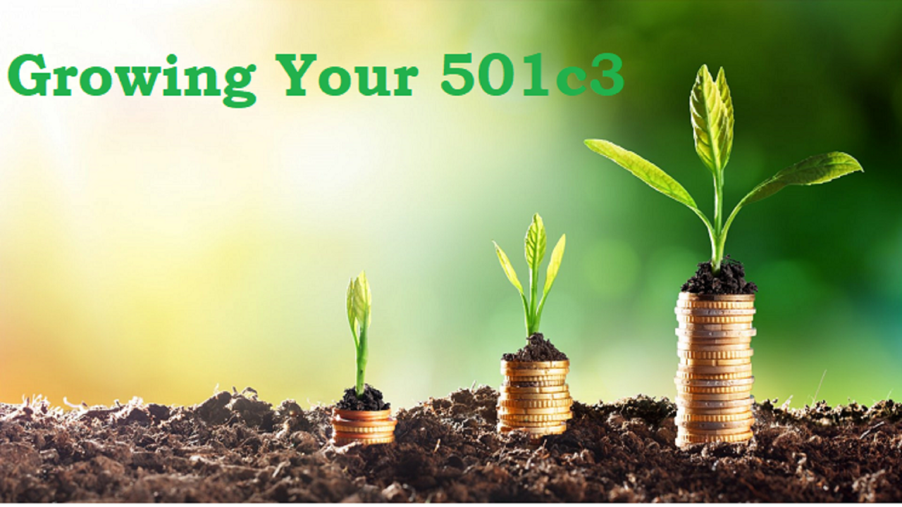 Tips For Growing Your 501c3 Non Profit Organization