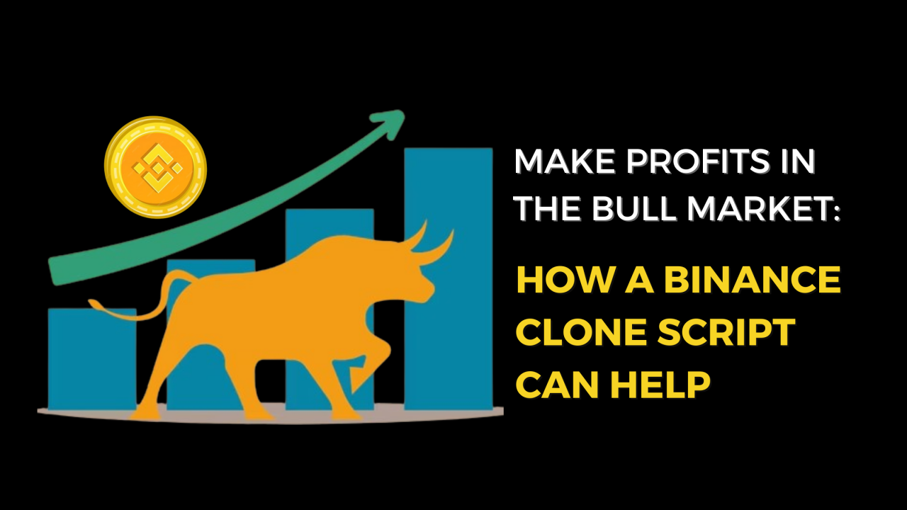 Make Profits in the Bull Market - How a Binance Clone Script Can Help