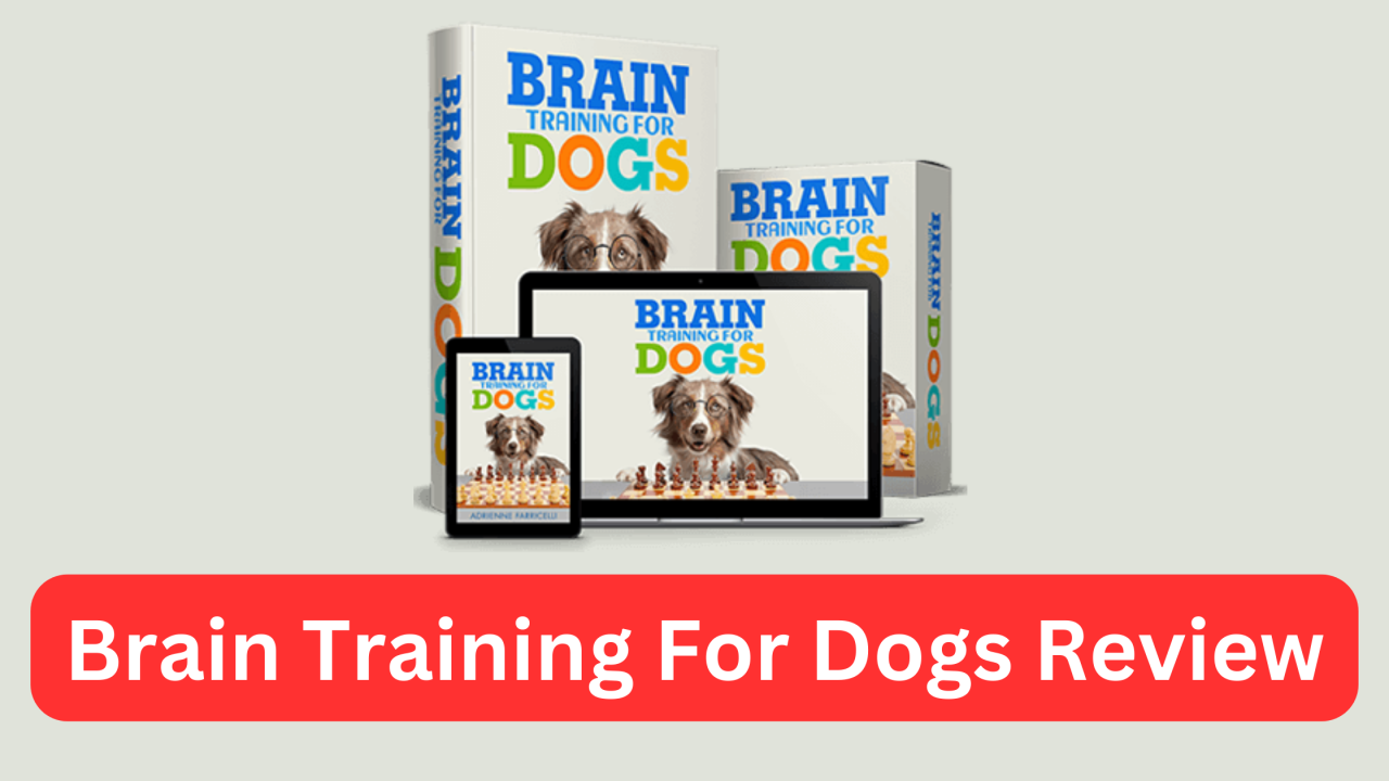 Brain Training For Dogs Review - ✅️Fix Dog Behavior Problems