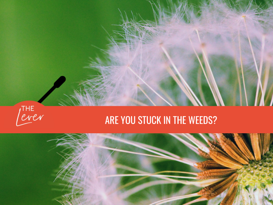Are You Stuck In The Weeds?