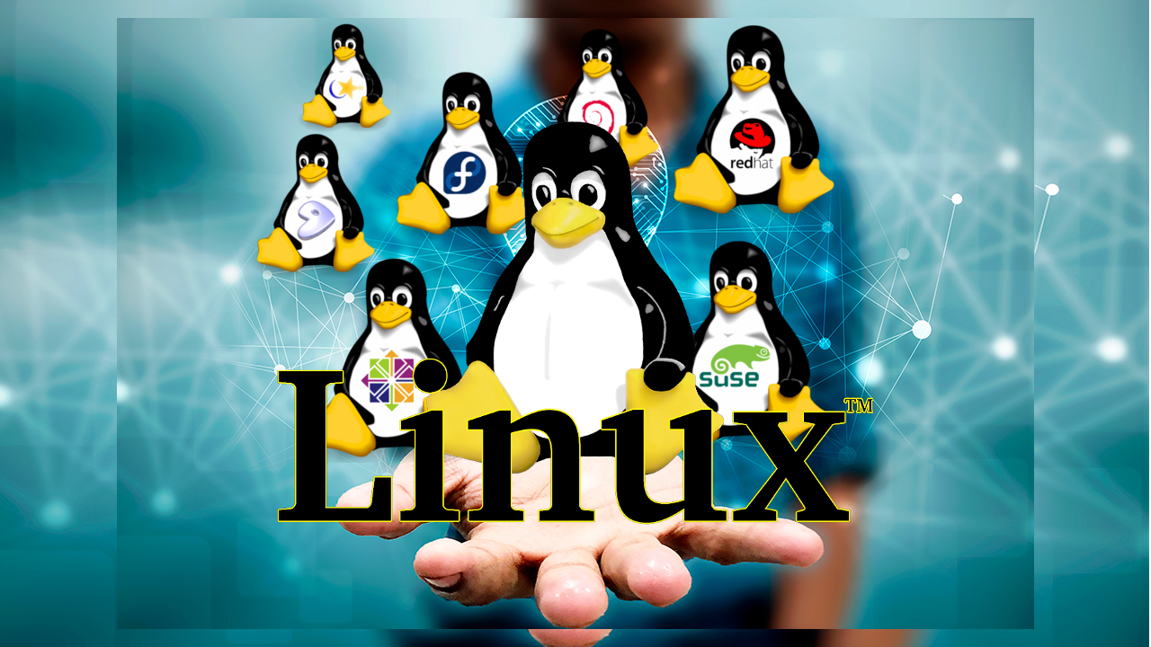 Why You Should Consider Switching to Linux