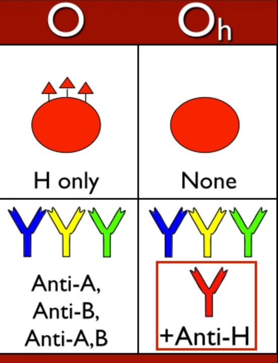 Uncommon Blood: The Fascinating World of Rare Blood Groups Uncommon Blood: The Fascinating World of Rare Blood Groups