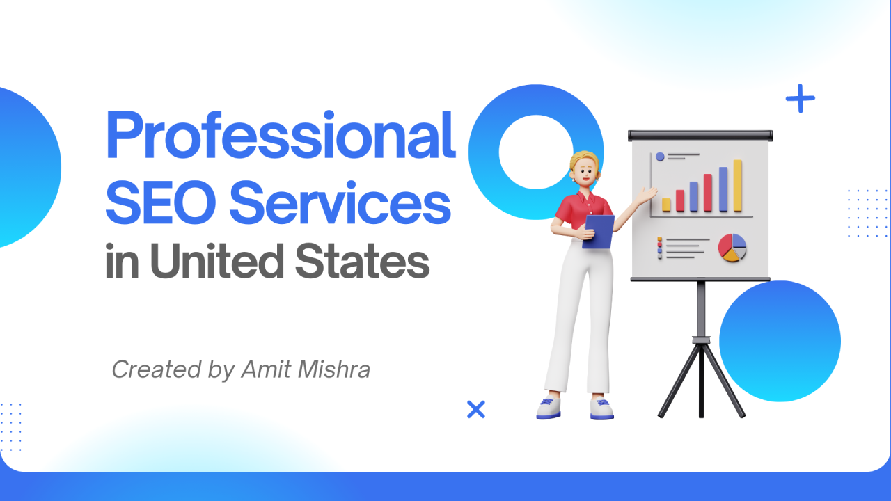 Professional SEO Services in US