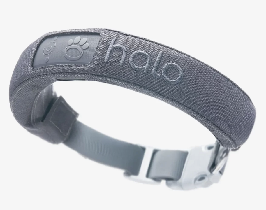 Halo Dog Collar Review: Expert Insights and Analysis
