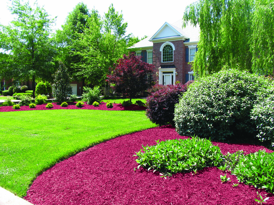 Global Mulch Colorant Market Size And Forecast 2023-2030