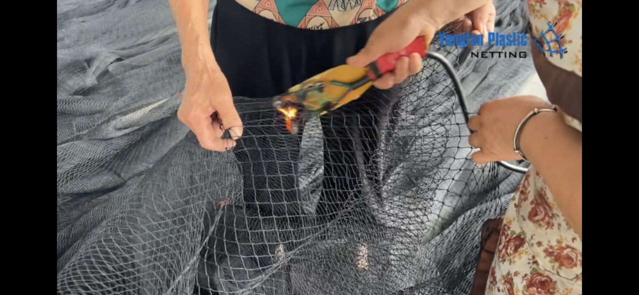The Hidden Truth About Bird Netting – Why Not All Nets Are Created Equal