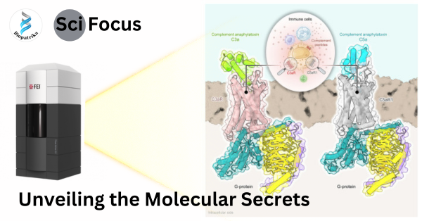 Unveiling the Molecular Secrets: How the cryo-EM Genie Grants Wishes in  Complement Activation