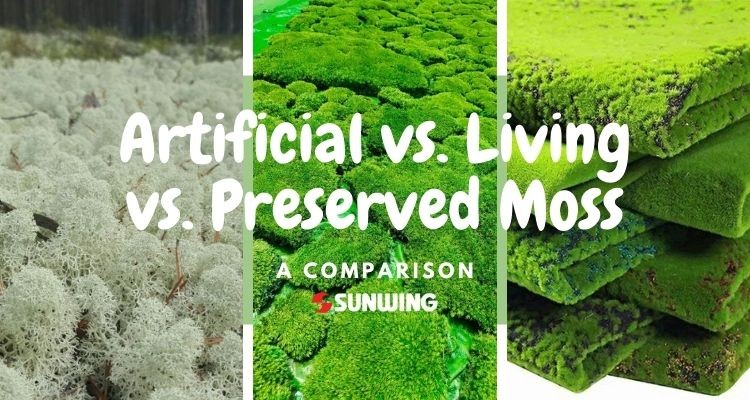 Artificial Moss VS. Preserved Moss VS. Living Moss