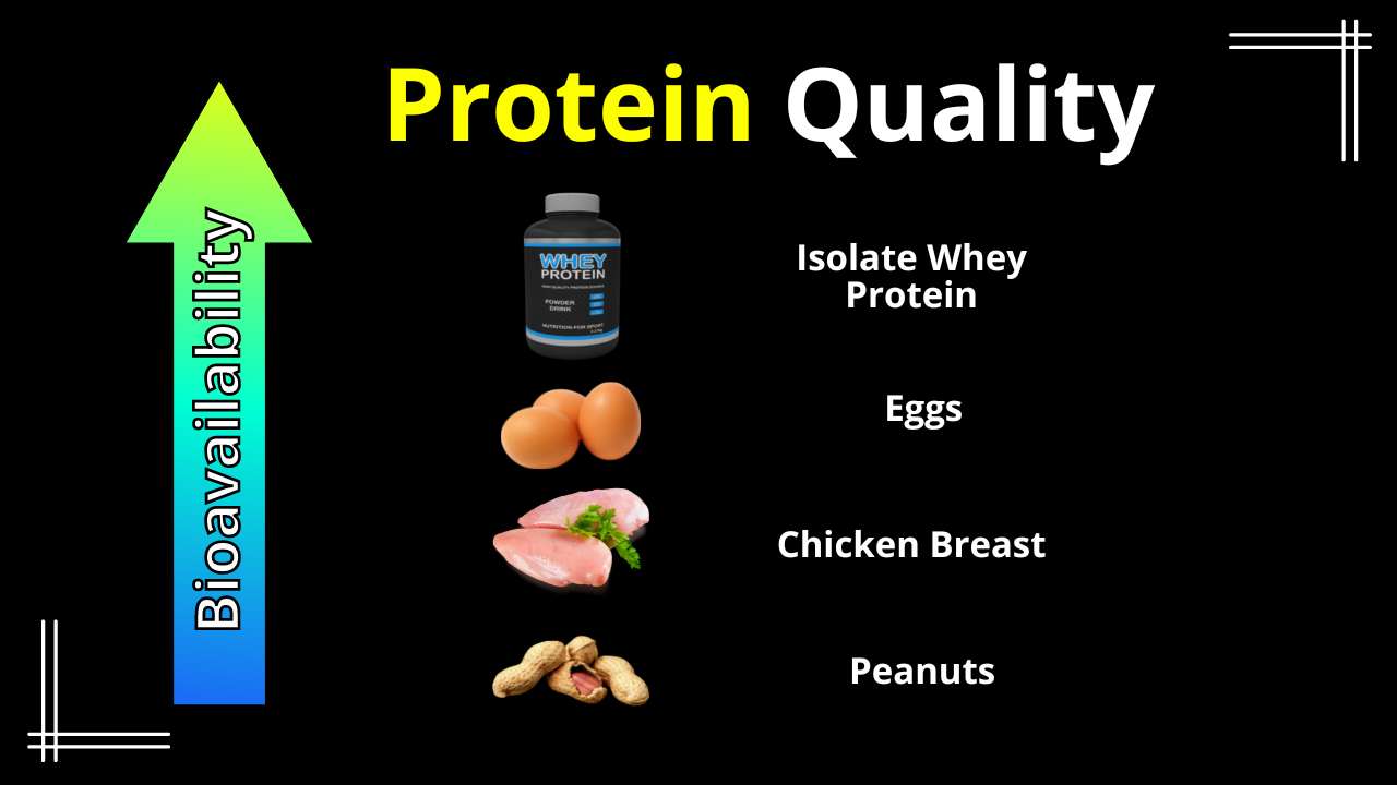 Protein Bioavailability