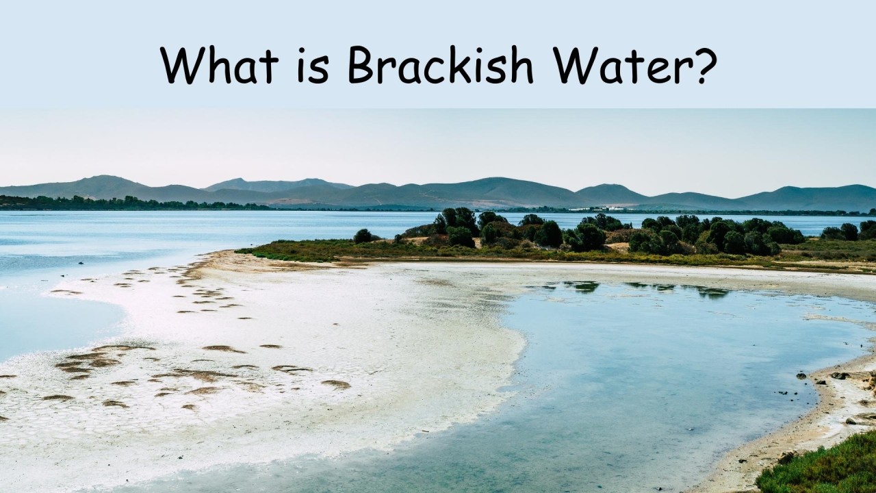 What is Brackish Water and How Do We Treat it?