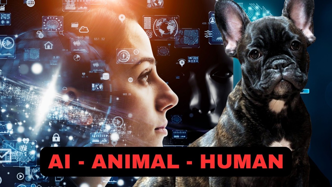 Exploring New Frontiers in Animal-Human Communication Through Machine Learning
