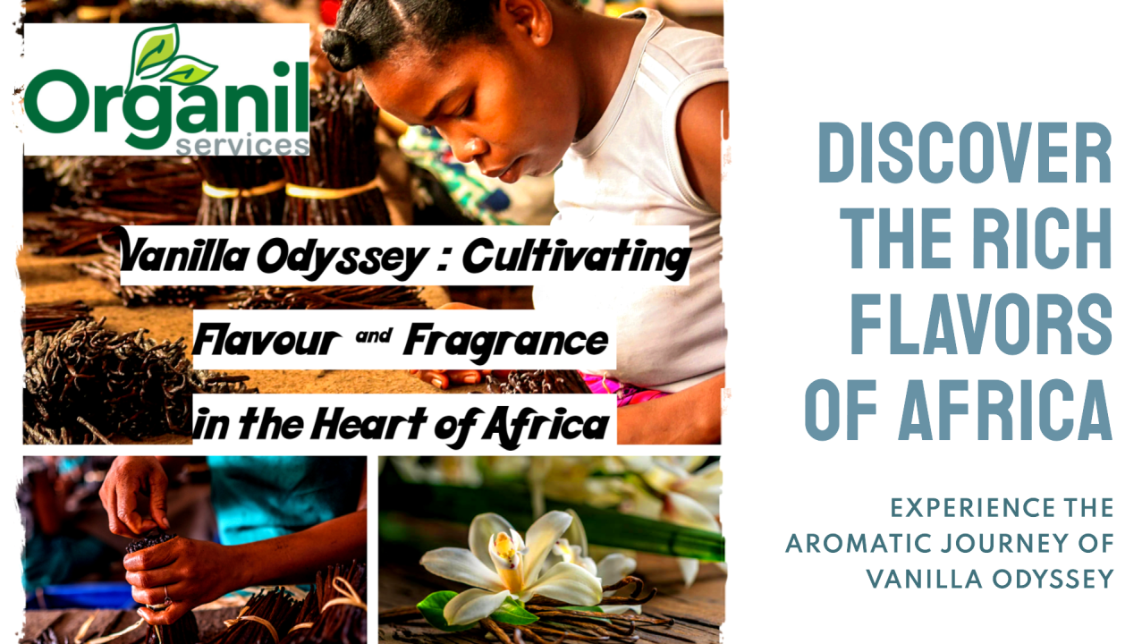  "Vanilla Odyssey: Cultivating Flavour & Fragrance in the Heart of Africa"