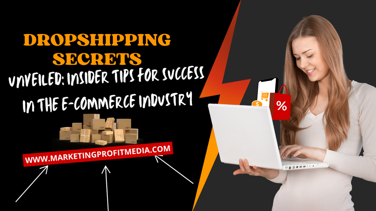 How to Start a Profitable Dropshipping Business With No Money: Insider Tips