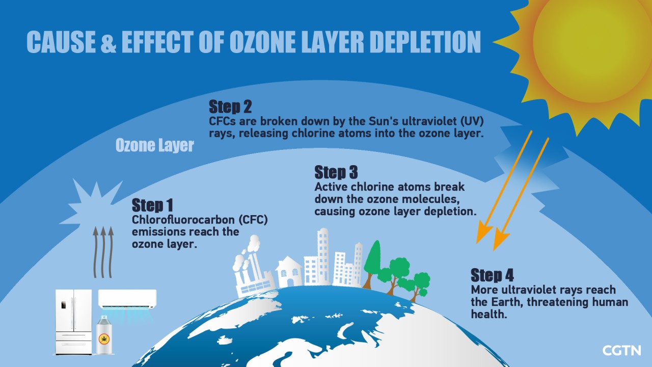Causes and Effect of Ozone Layer Depletion 