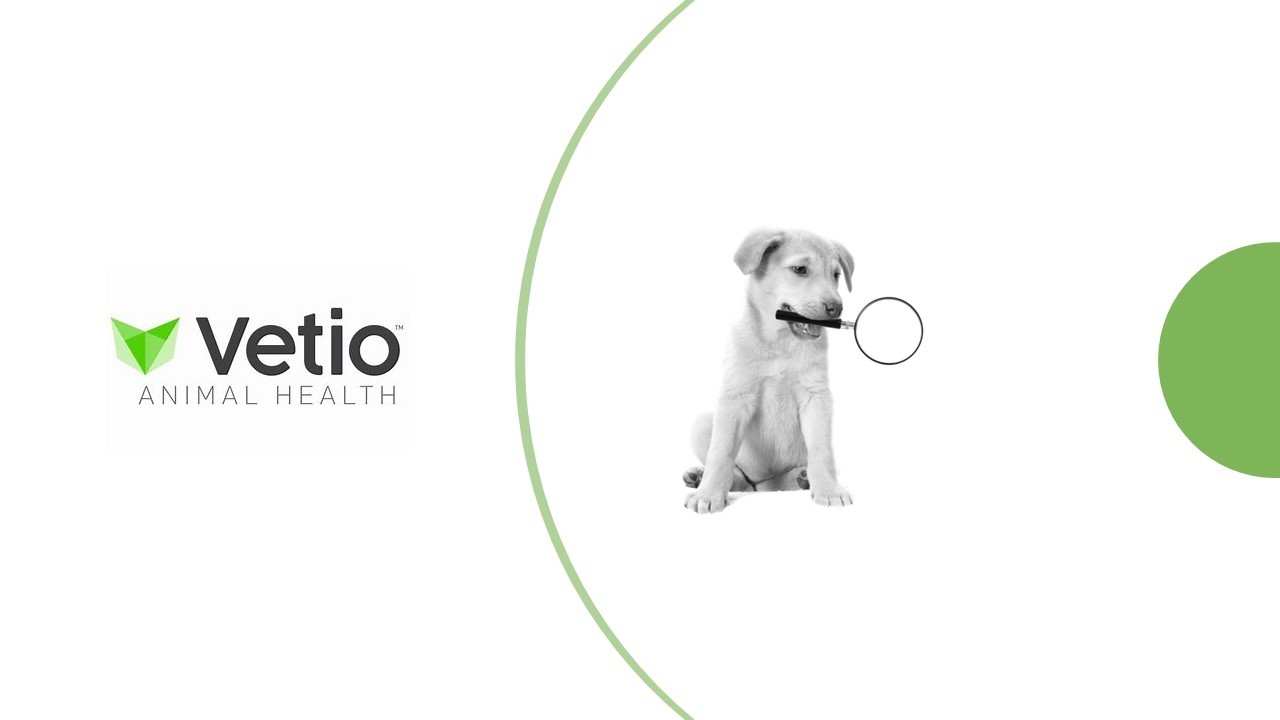 Vetio Animal Health | LinkedIn