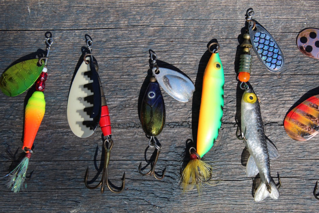 So, what's the BEST lure?