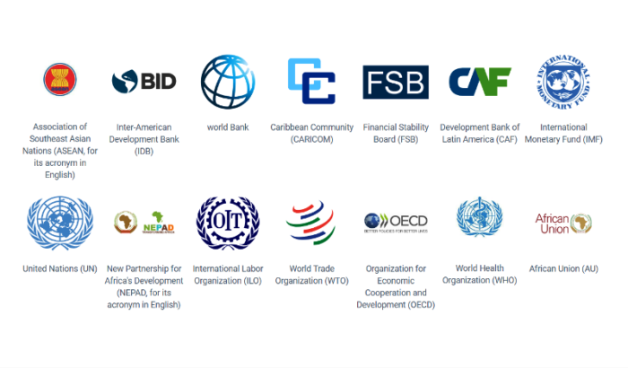 The Imperative for Global Coordination: The Significance of Intergovernmental Organizations.