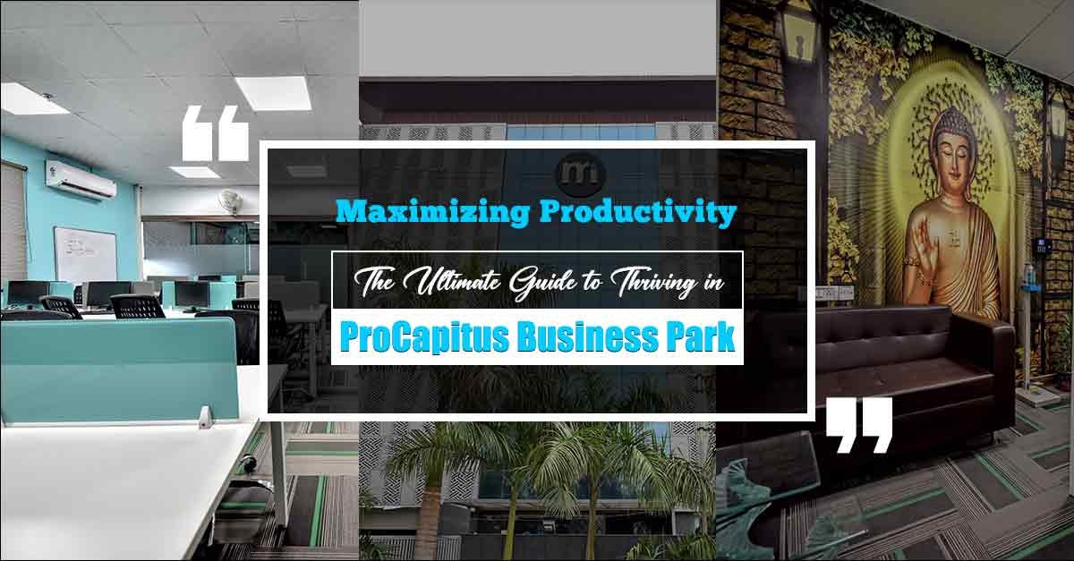 
Maximizing Productivity: The Ultimate Guide to Thriving in Procapitus Business Park