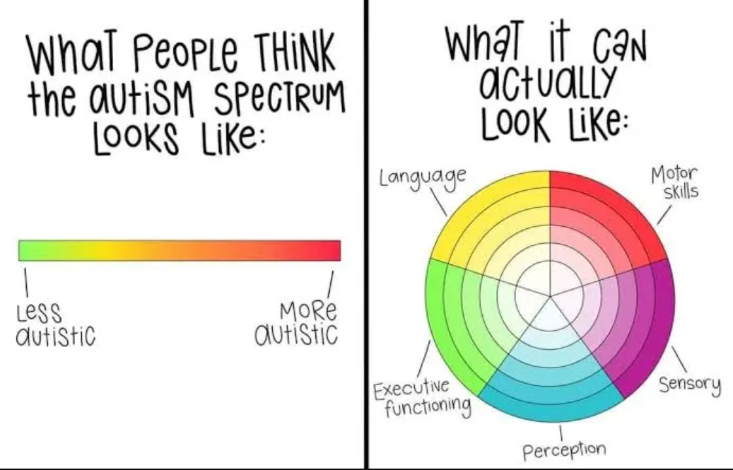 Understanding the Spectrum: What the Word "Spectrum" Means in Autism Spectrum Disorder