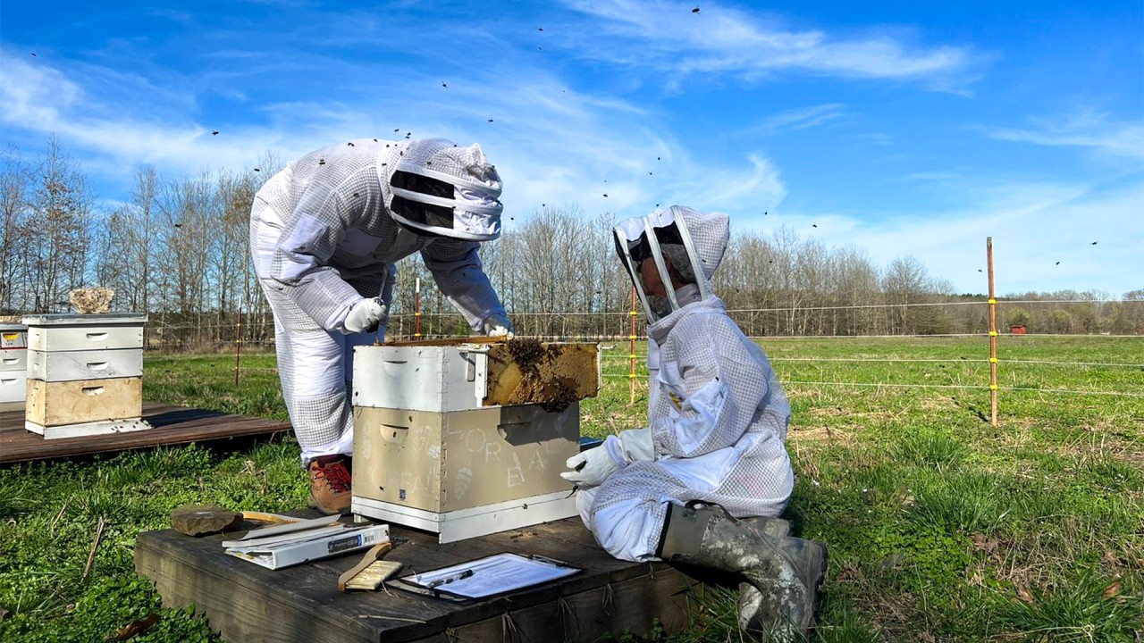 I. Introduction to Beekeeping and Regenerative Agriculture