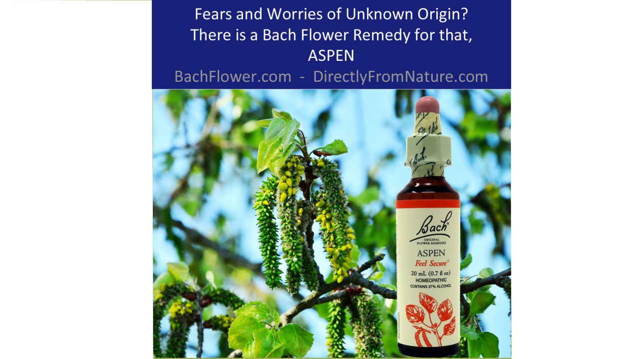 Aspen Bach Flower Remedy Overcoming