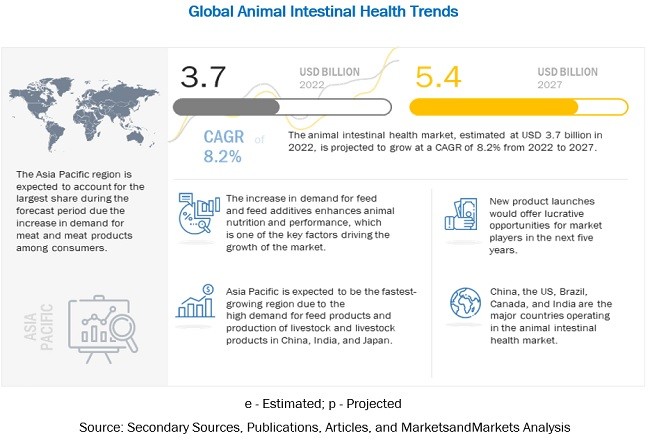 Animal Intestinal Health Market Overview