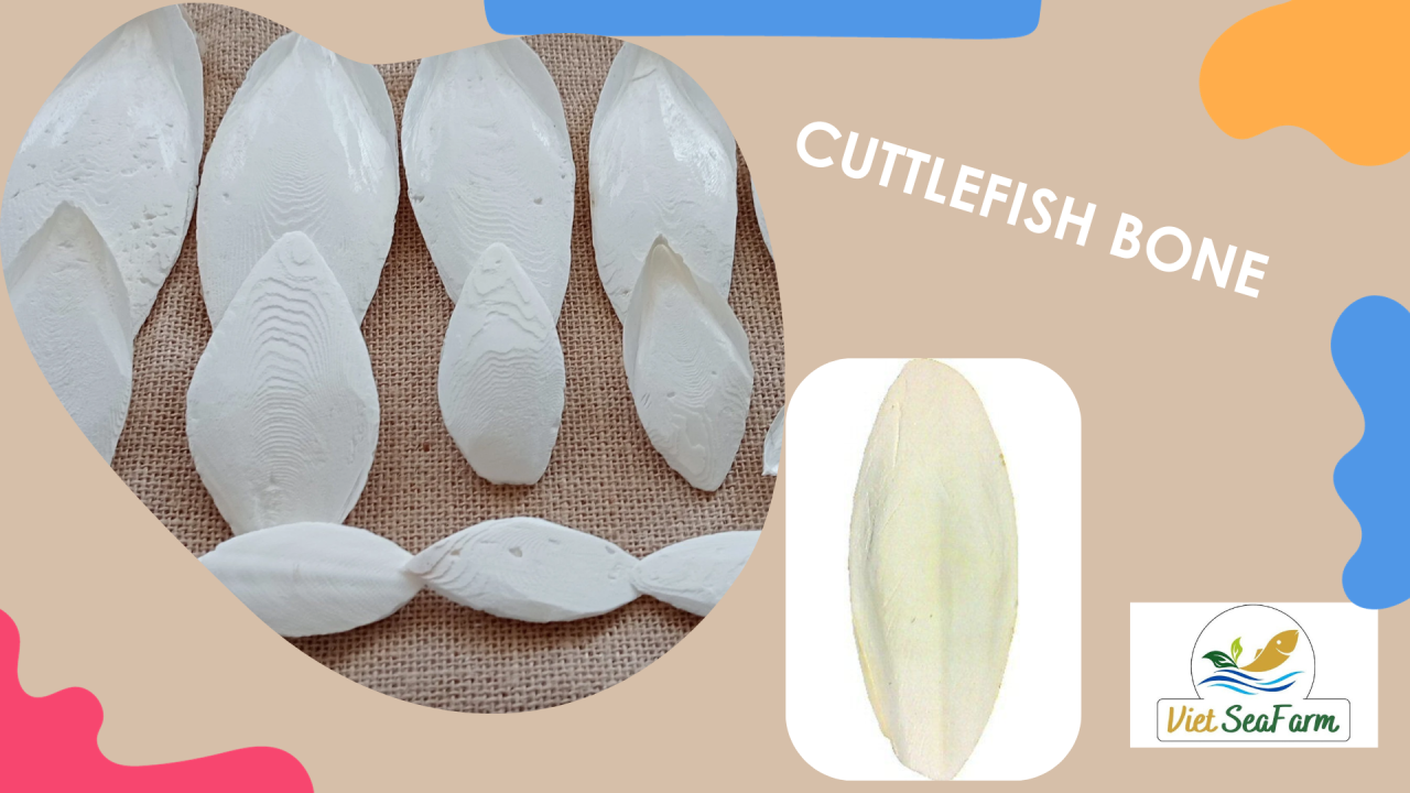 DO YOU KNOW WHAT  CUTTLEFISH BONE IT IS USUALLY USED FOR?