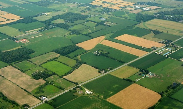 The Allure of Canadian Farmland: A Robust Investment Opportunity