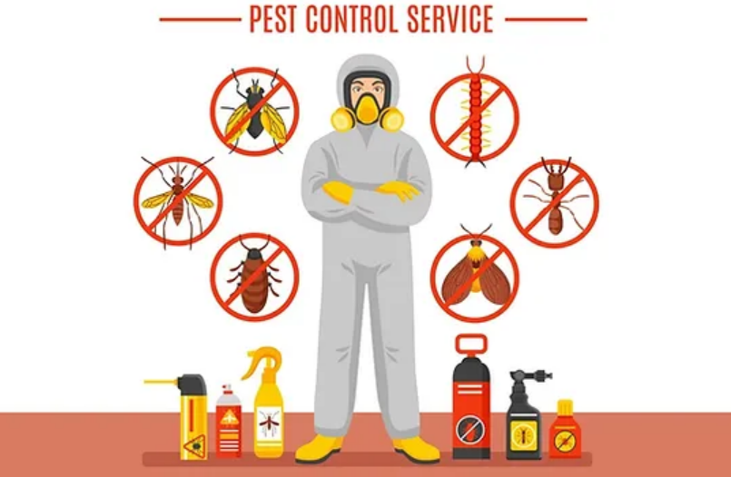 Pest Control in Kharghar - Call Today 9768000809