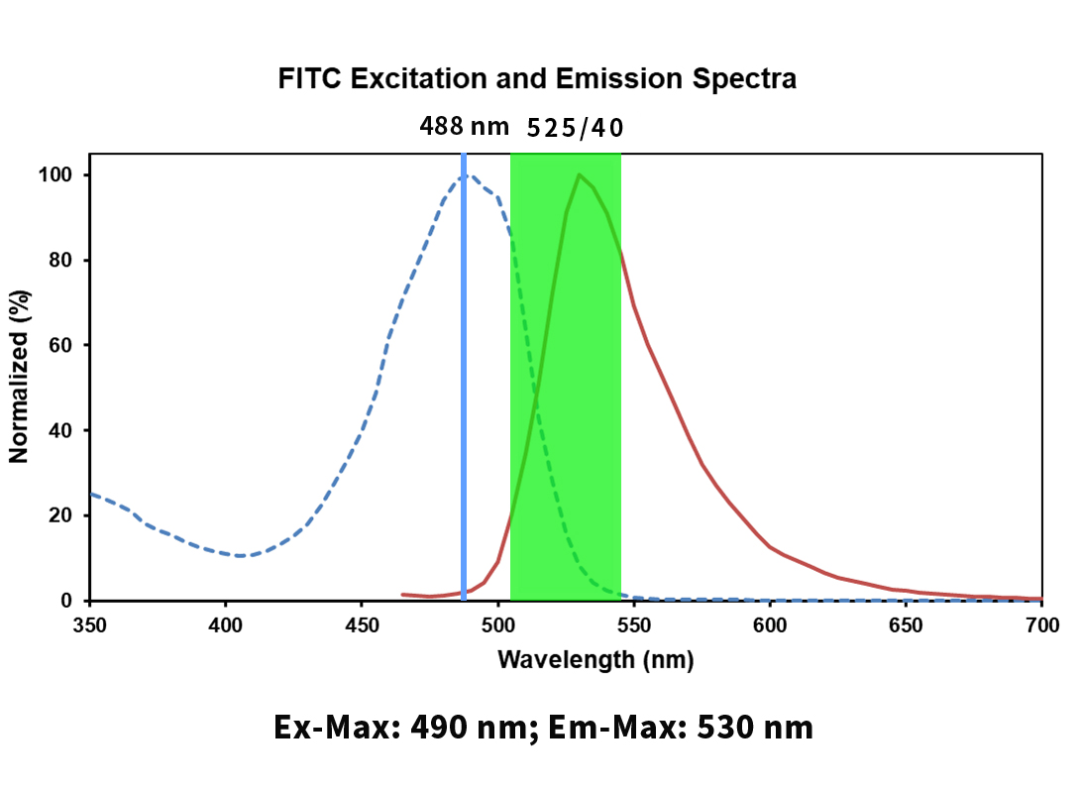 How to Choose the Right Detection Channels through Spectral Analysis?