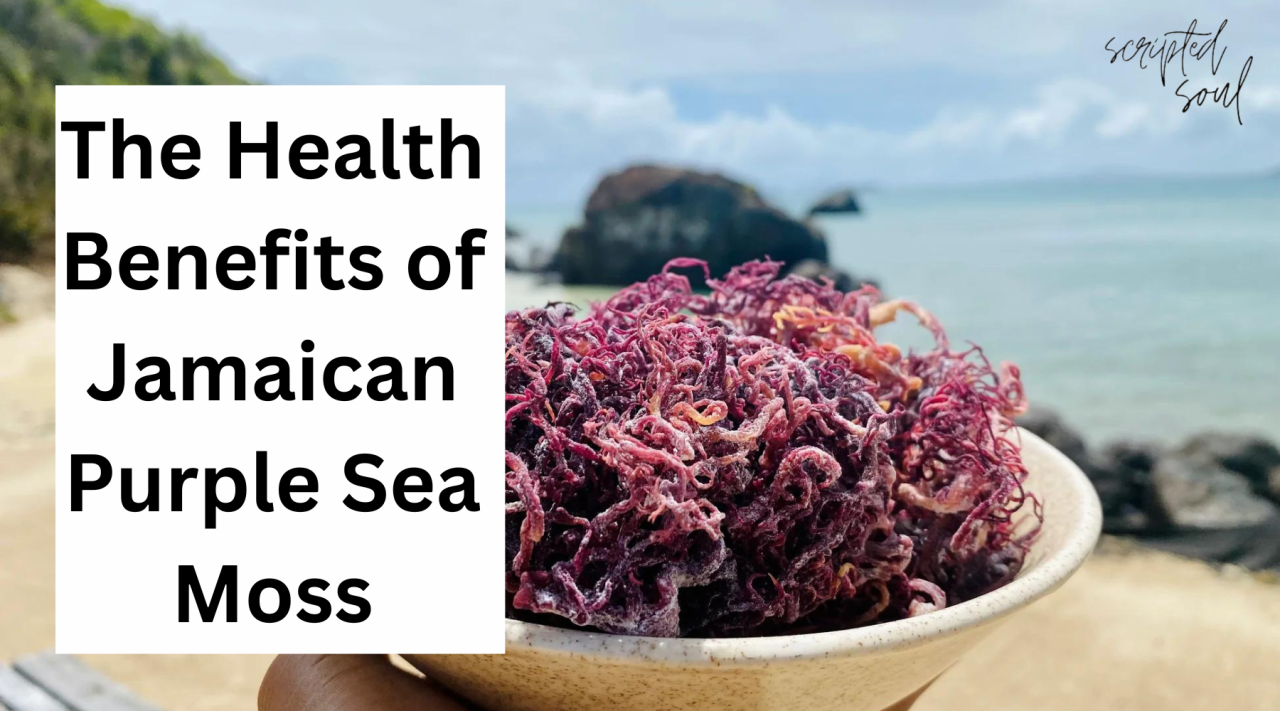 Exploring The Health Benefits of Jamaican Purple Sea Moss: A ...