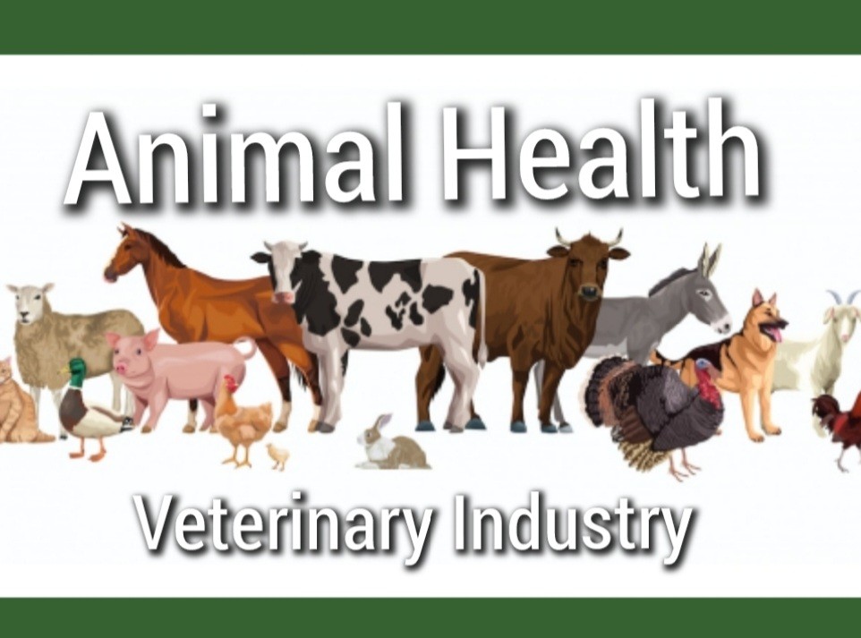 Evolution of Veterinary Pharmaceuticals to Animal Health Industry & my  experience