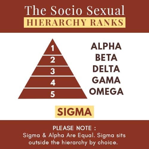 From Alpha To Omega: What Is Your Socio Sexual Hierarchy Rank?