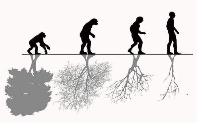 The Evolutionary Implications of Technological Advancements: Are Humans Evolving or Devolving?