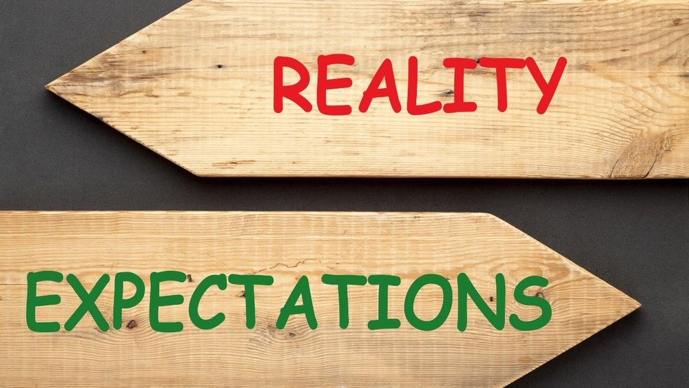 Realistic Expectations: What Code X Nexus Offers