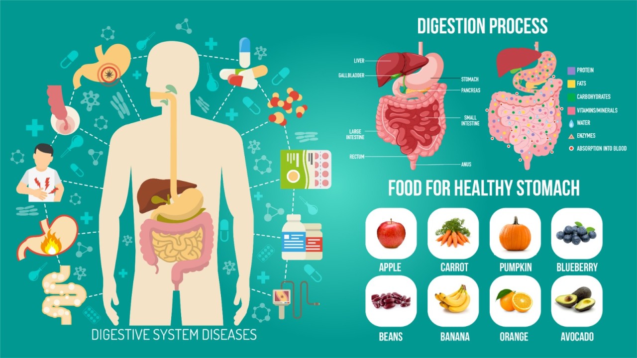 Nurturing Your Digestive System: A Comprehensive Guide to Optimal Nurturing Your Digestive System: A Comprehensive Guide to Optimal