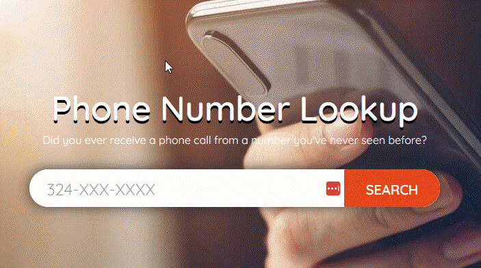 5 Best US Free Reverse Phone Number Lookup Sites With Name (2024)
