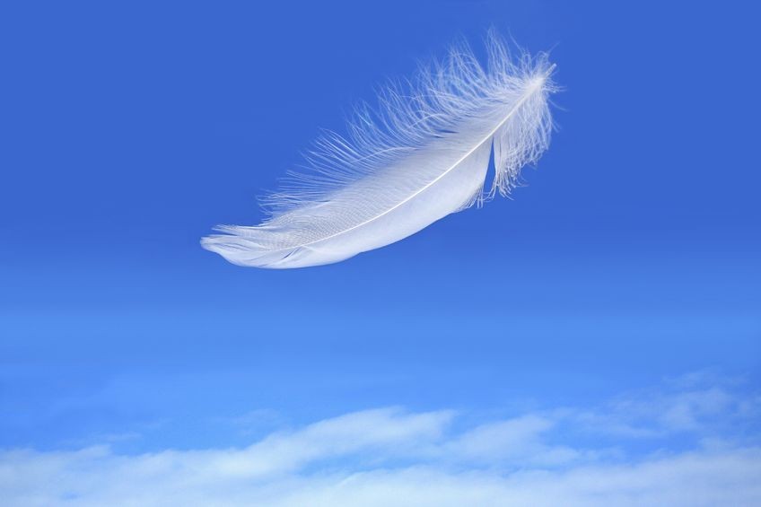 What's light as a feather yet can be heavy on a heart?
