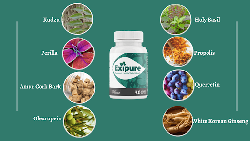 Exipure Original Pills 2023, Exipure Plus Advanced formulA
