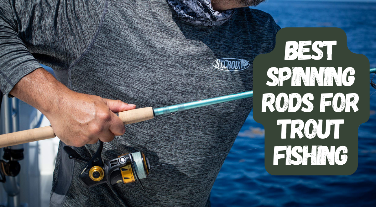 Discover the 5 Best Spinning Rods for Trout Fishing 🐟 : Ultimate Guide to  Superior Angling