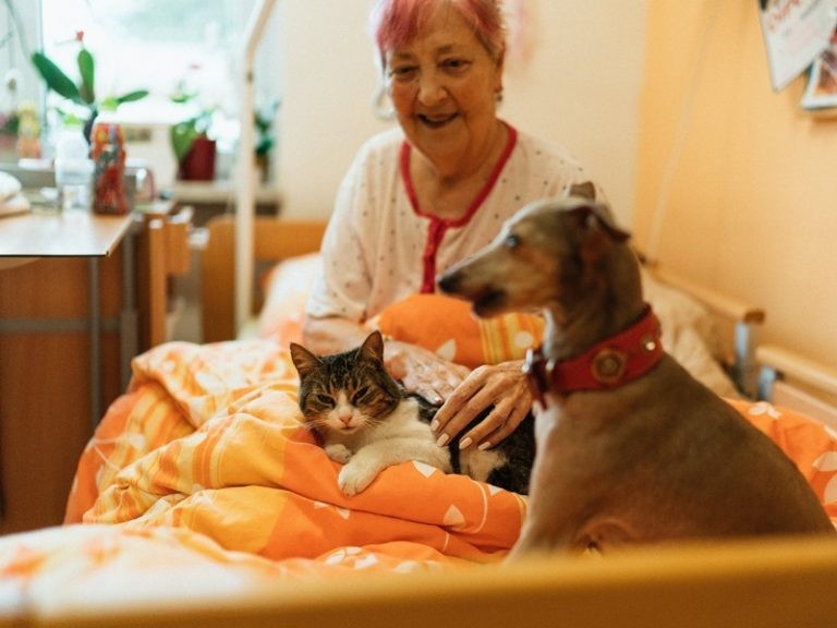 Photography Tips for Assisted Living Marketing: Do s and Don #39 ts Photography Tips for Assisted Living Marketing: Do s and Don #39 ts