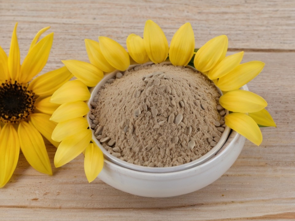 Sunflower Seed Powder Manufacturing Plant Project Report 2024: Industry ...