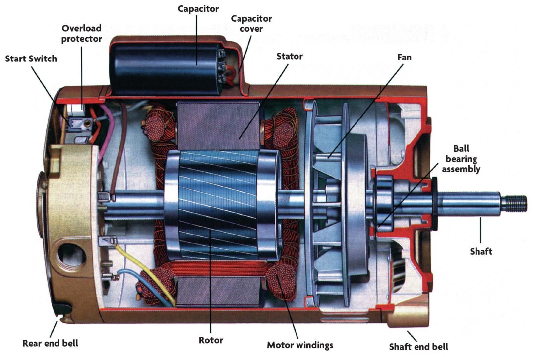 Aptitude Test For Electric Motor Bearing Replacement