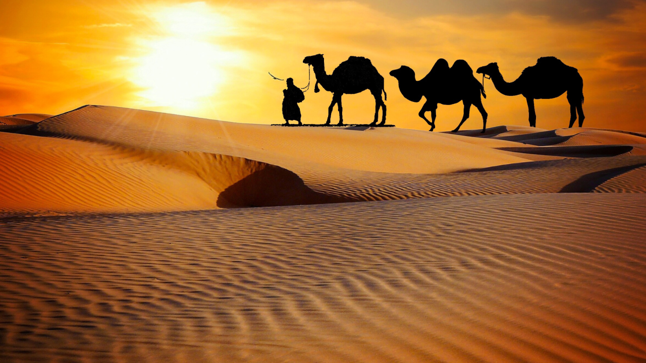 Why to Experience Desert Safari Dubai in Winter ?