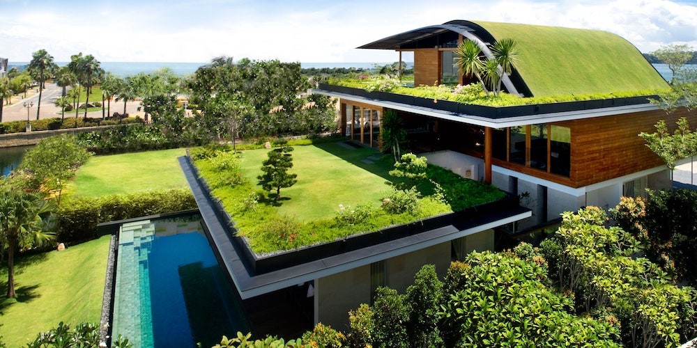Green Roofing: Benefits and Implementation in Modern Construction
