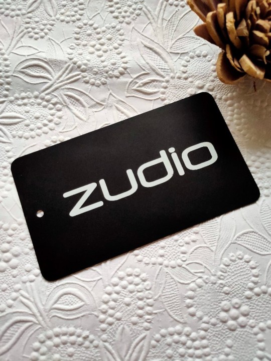 Evolution of Zudio: A Fashion Retail Success Story