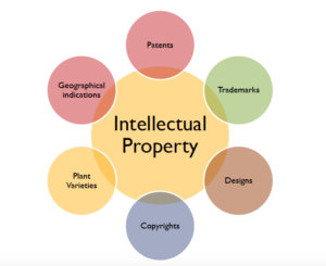 intellectual property rights assignment