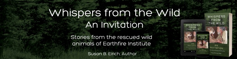 Susan B. Eirich, Ph.D. - Founder & Executive Director - Earthfire Institute  Wildlife Sanctuary & Retreat Center | LinkedIn