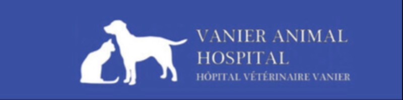 Tess Hausenblas - Veterinary Assistant - Vanier Animal Hospital | LinkedIn